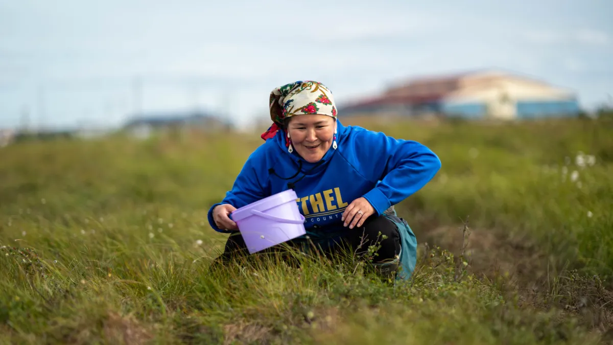 Brenda Carmichael picking blueberries in the Tundra