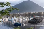 Sitka Landscape with boats and harbor.
