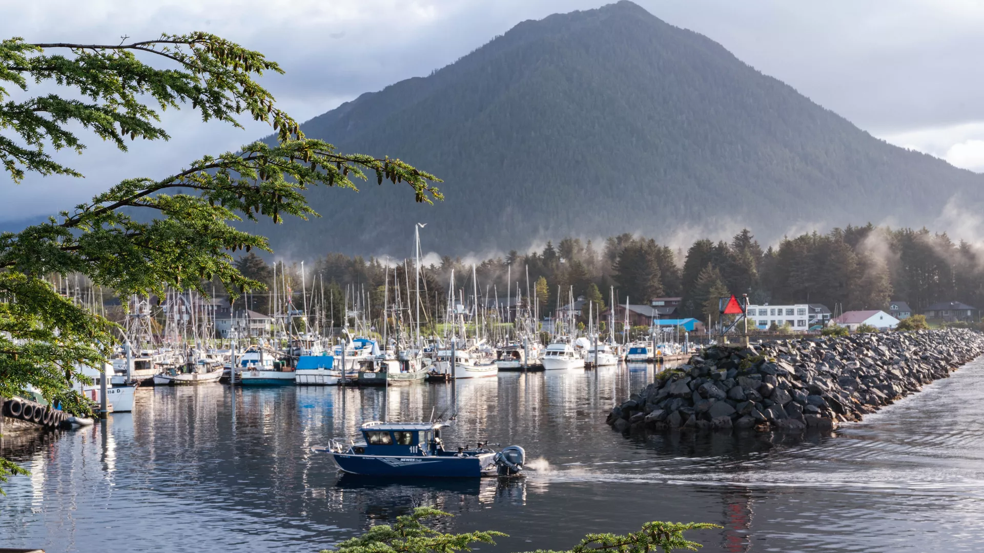 Sitka Landscape with boats and harbor.