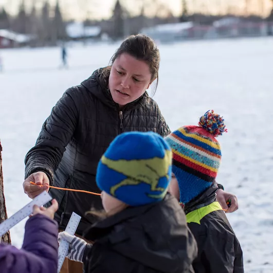 Hamre Stories Banner